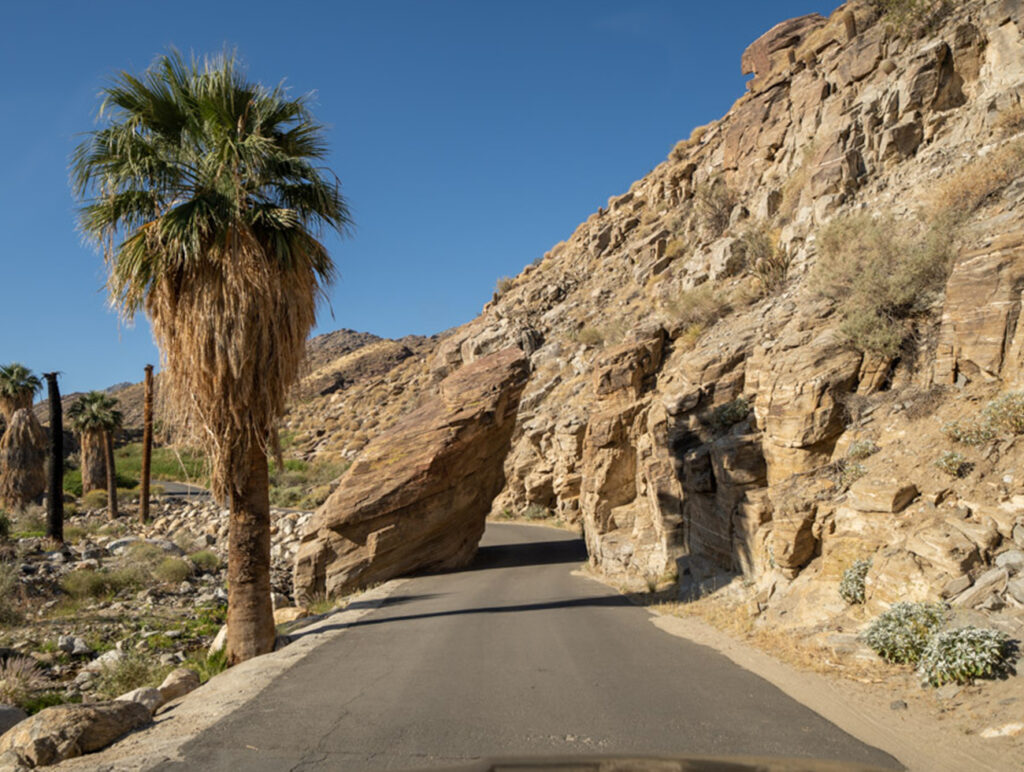 Indian Canyons in Palm Springs is considered one of the most beautiful drives near Rancho Mirage.